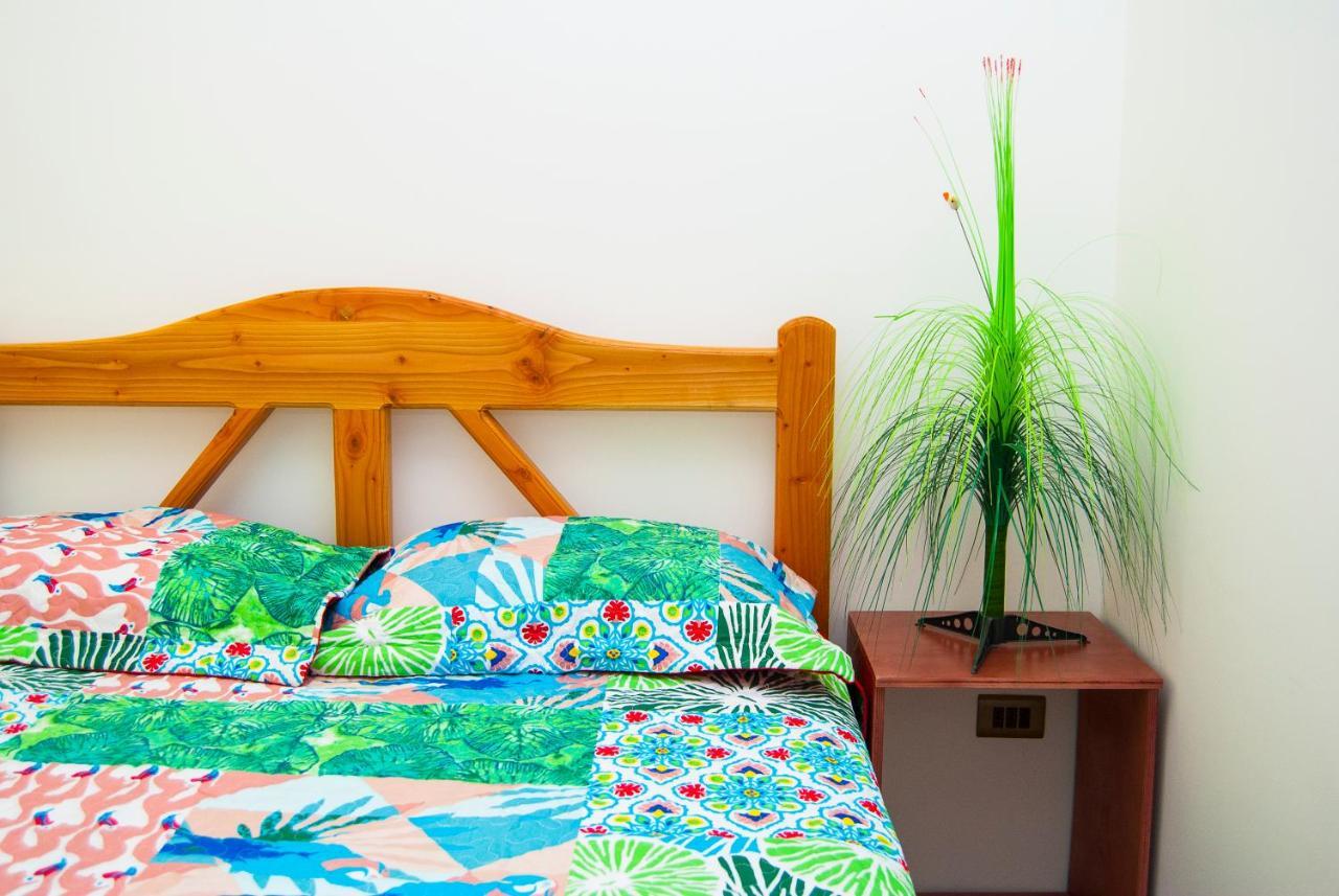 Hostal Lecher إكيكي المظهر الخارجي الصورة